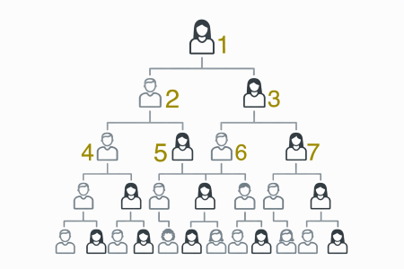 Kekulé - Personen nummerieren für die Ahnenforschung